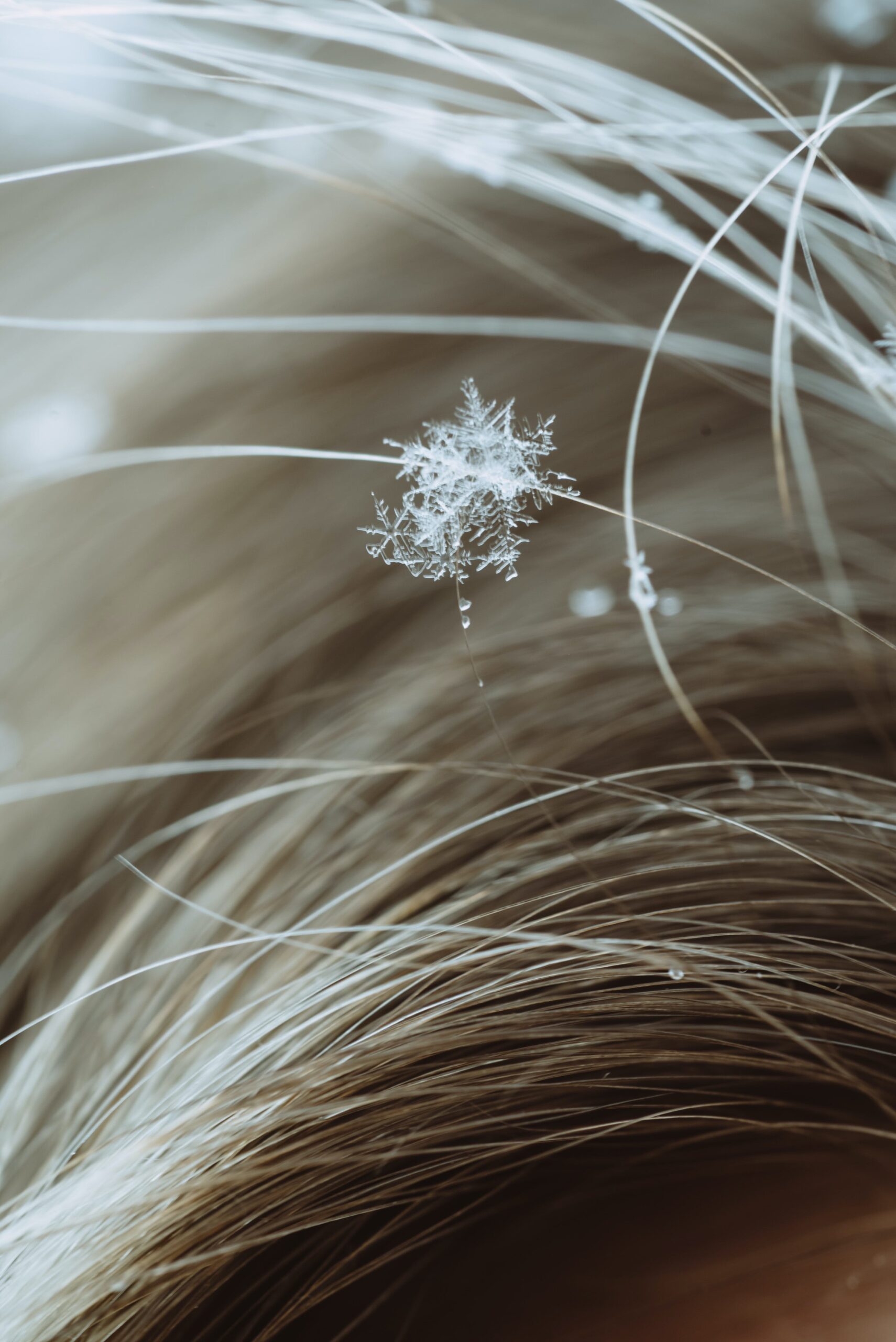 Comment préparer un pique-nique hivernal parfait en plein air