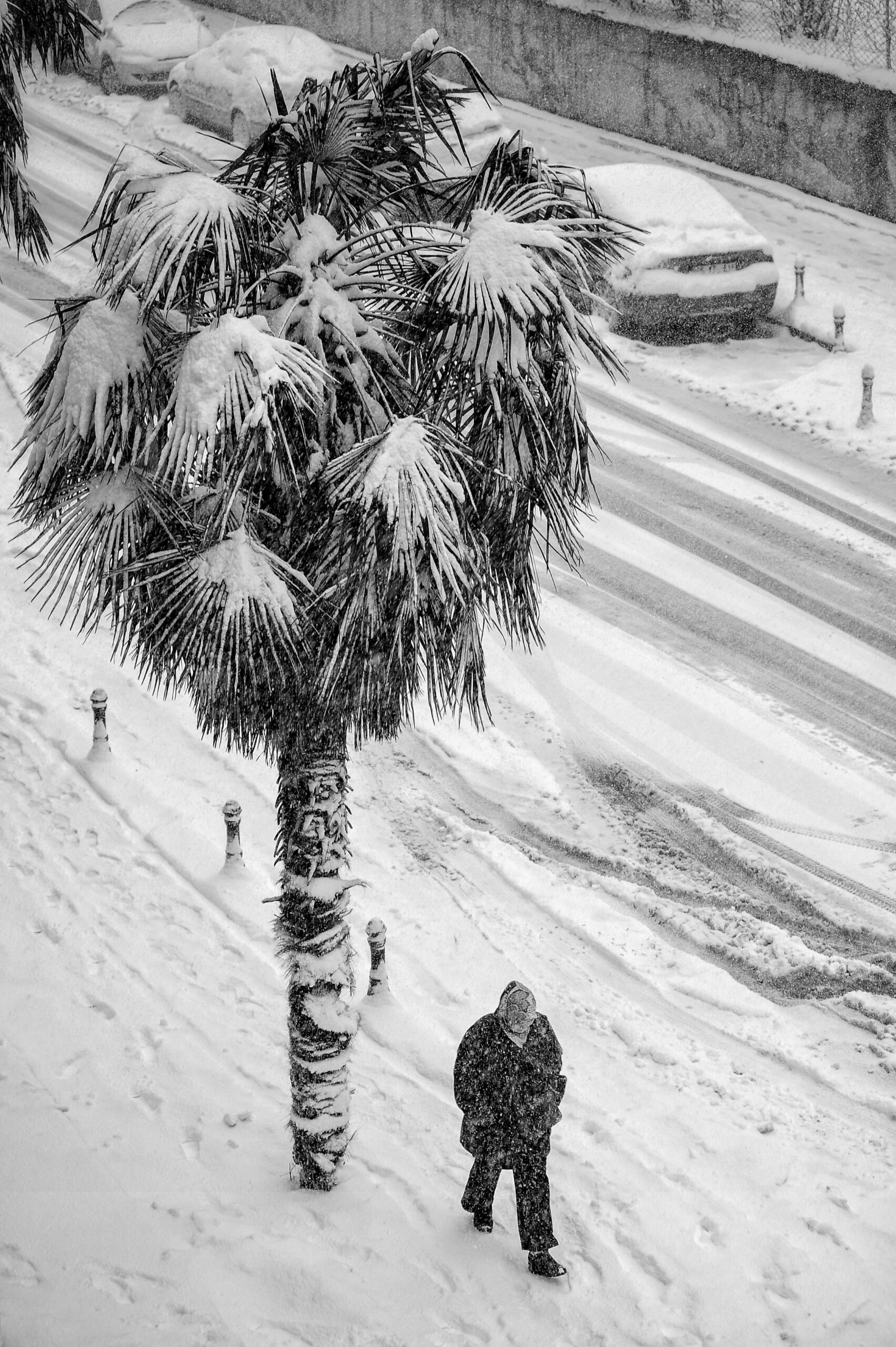 Le Guide Ultime pour un Barbecue Hivernal Réussi